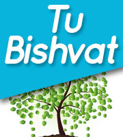 TU BISHVAT - THE FESTIVAL OF TREES 2026