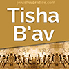 Click for more information about Tisha B'av